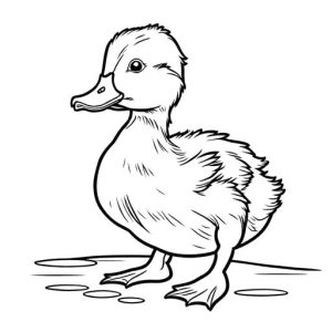Sweet duckling with small beak for coloring page