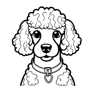 Poodle with collar and tag looking at camera coloring page