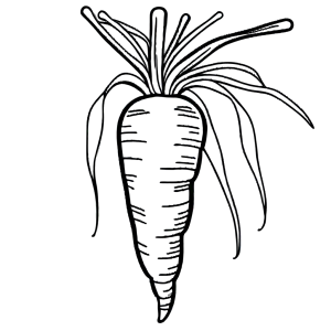 Single line drawing with artistic shading of a carrot