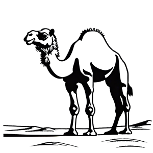Camel coloring page in desert
