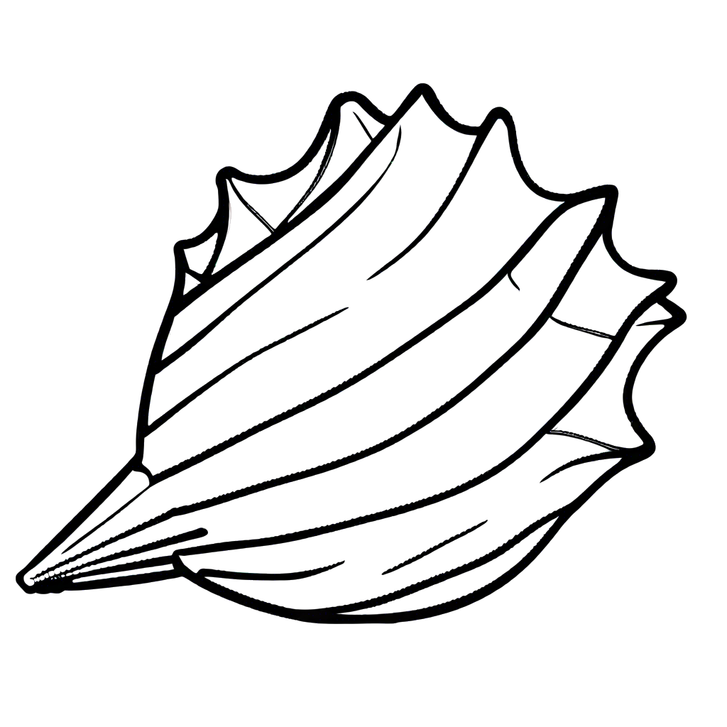 Conch shell drawing on plain background Coloring Pages