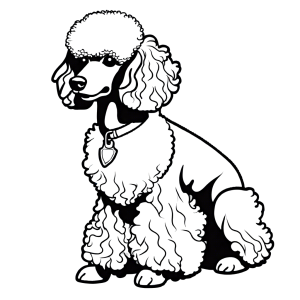 Adorable Poodle with curly fur sitting coloring page