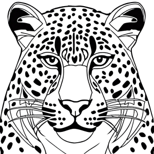 Close-up of detailed leopard face coloring page