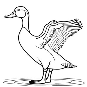 Duck standing on one leg for coloring page