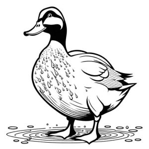 Duck with glistening water droplets for coloring page