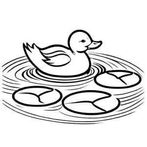 Duckling swimming in a pond with water lilies coloring page