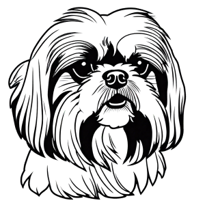 Shih Tzu dog with fluffy mane black and white drawing coloring page