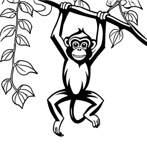 Monkey hanging from a vine sketch coloring page