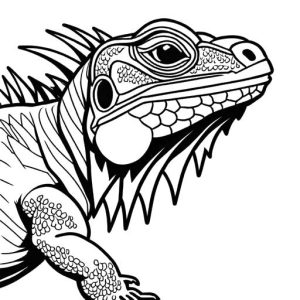 Iguana with textured skin drawing Coloring Page