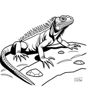 Iguana line art crawling on the ground Coloring Page
