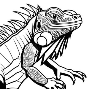 Basic iguana sketch with scales and claws Coloring Page
