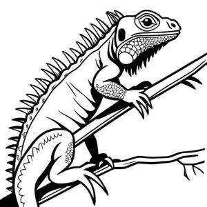Simple iguana on branch Coloring Page