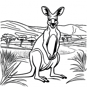 Kangaroo in Australian outback coloring page