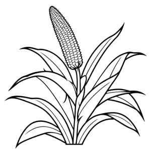 Maize plant outline coloring page