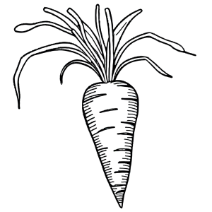 Minimalist Carrot Coloring Page