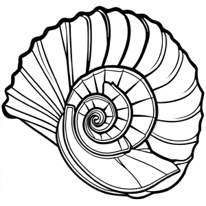 Minimalist depiction of a conch shell with focus on spiral shape and intricate details Coloring Pages