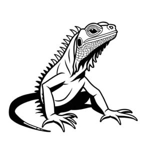 Minimalist iguana drawing with curved tail Coloring Page