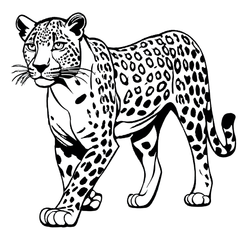 Outlined leopard coloring page Lulu Pages