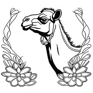 Playful camel with flower behind ear drawing for coloring