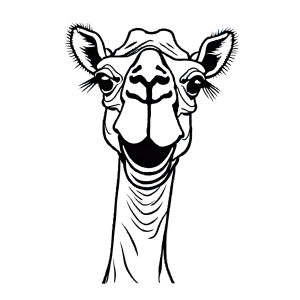 Playful camel coloring page