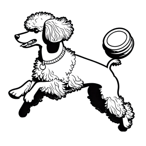 Poodle with frisbee jumping in the air coloring page