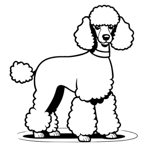 Poodle standing outline coloring page