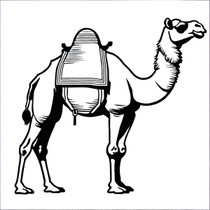 Camel with saddle coloring page