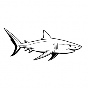 Minimal shark coloring page with dorsal fin above water
