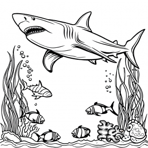 Coloring page of shark outline with other marine creatures