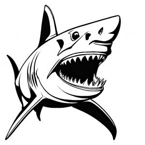 Shark coloring page with open mouth and teeth