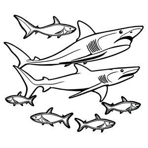 Shark coloring page with school of fish swimming around it