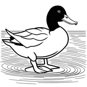 Simple duck outline for coloring page