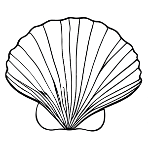 Scallop outline coloring page