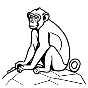 Monkey sitting on a rock line art coloring page