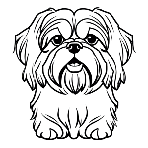 Shih Tzu dog with smiling face basic line art coloring page