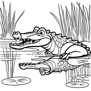 Crocodile in swamp drawing for coloring page