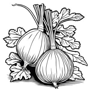Turnip and attached leaves outlined coloring image