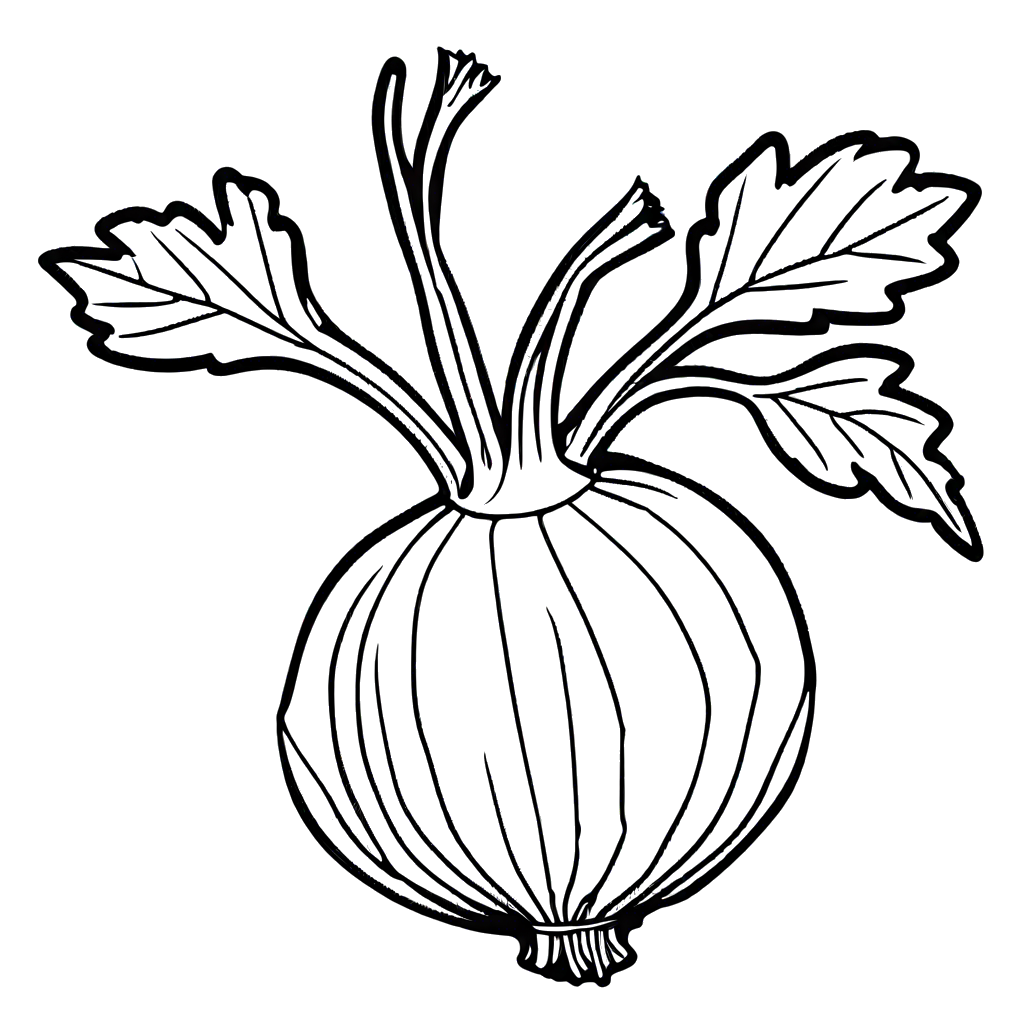 Outlined turnip and leaves coloring image