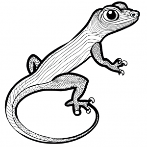 Lizard outline coloring page with a long wavy tail and small round eyes