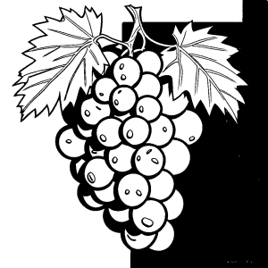 Simple grape cluster coloring page