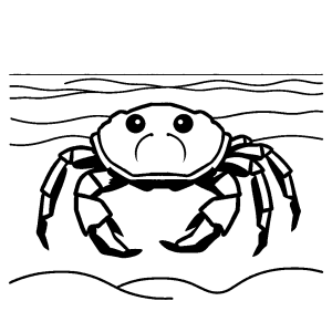 Crab line art on sandy beach