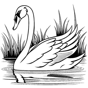 Swan with long neck and curved beak floating on tranquil pond.