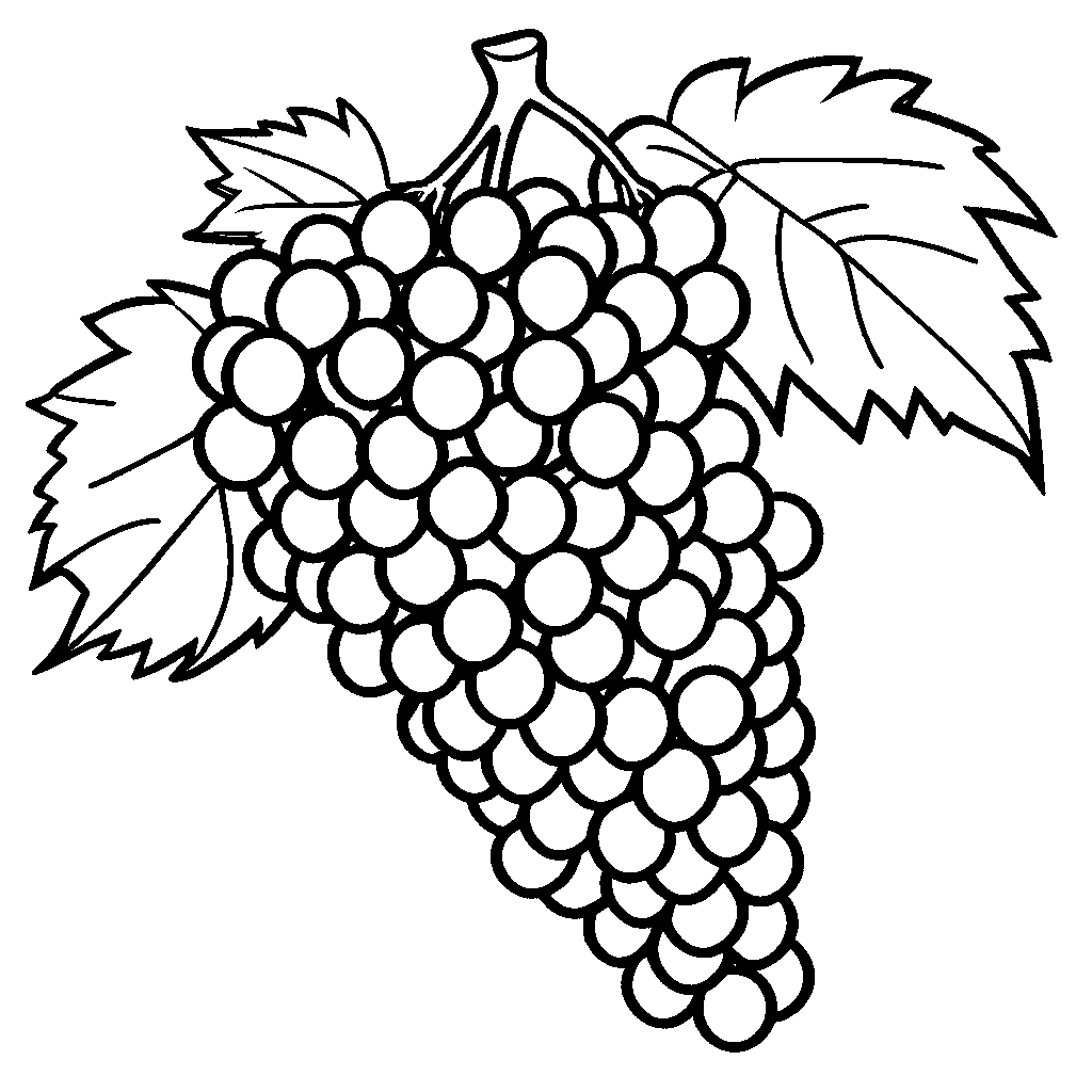 Bunch of grapes outline coloring page