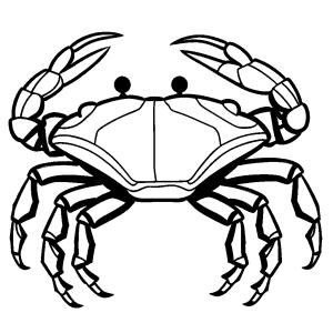 Crab cartoon drawing with wavy lines