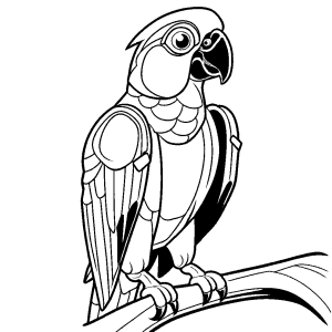 Simple cartoon Grey parrot for coloring