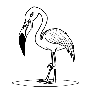 Cute Flamingo Coloring Cartoon