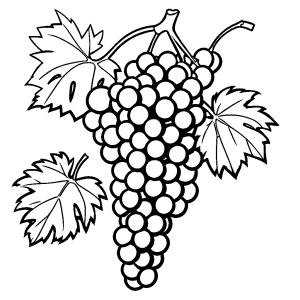 Grapes cluster coloring page