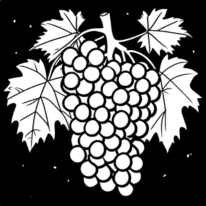 Grapes contour drawing coloring page