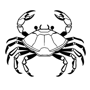 Crab outline drawing with shell