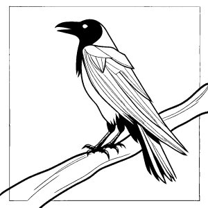 Simple drawing of crow with prominent tail feathers